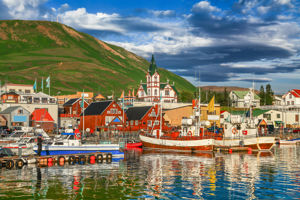 Cruise IJsland & Groenland incl. busreis