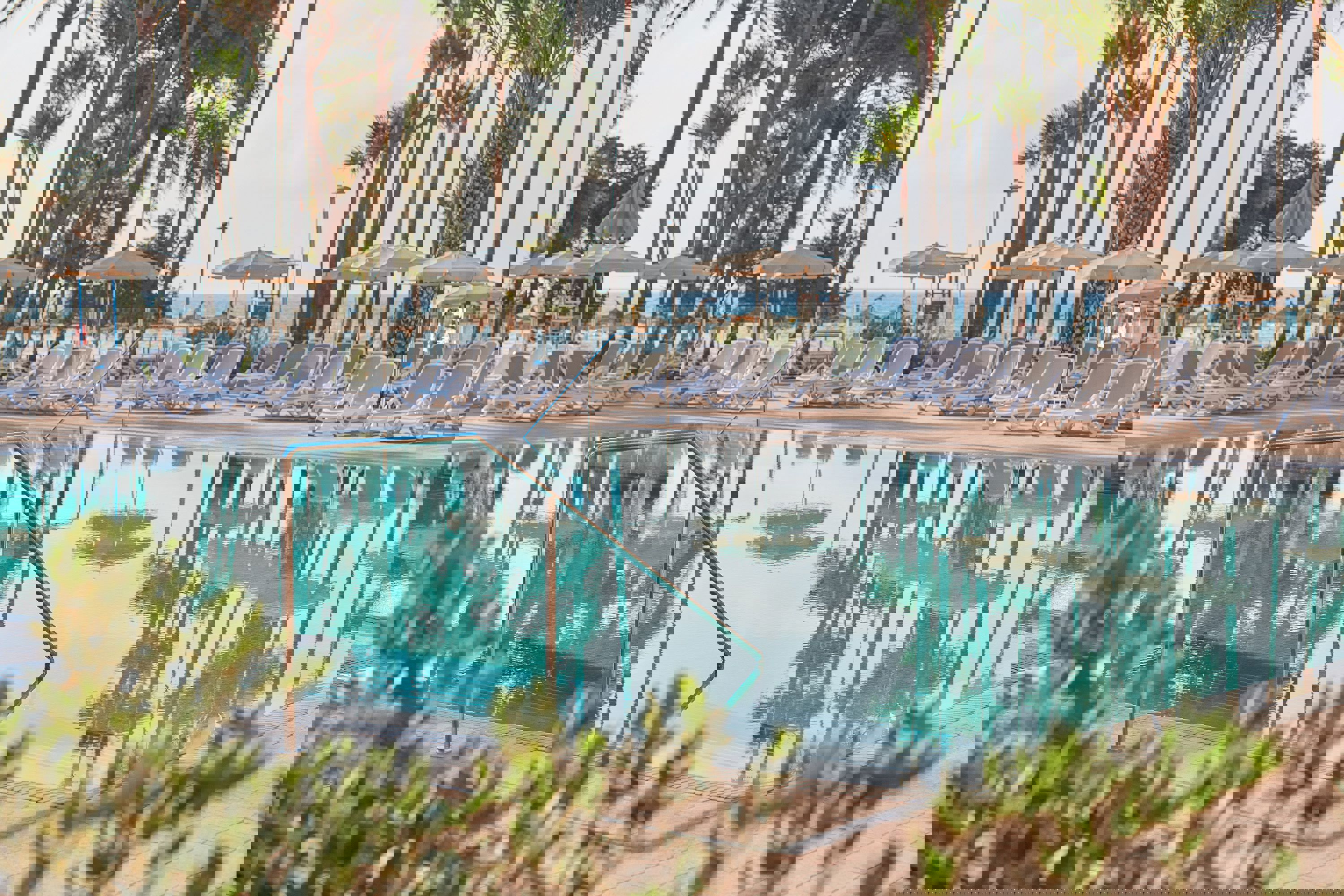 Hipotels Mediterraneo Club - billede 5