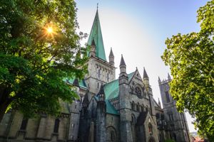 Cruise op zoek naar het Noorderlicht