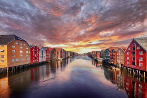 Cruise op zoek naar het Noorderlicht