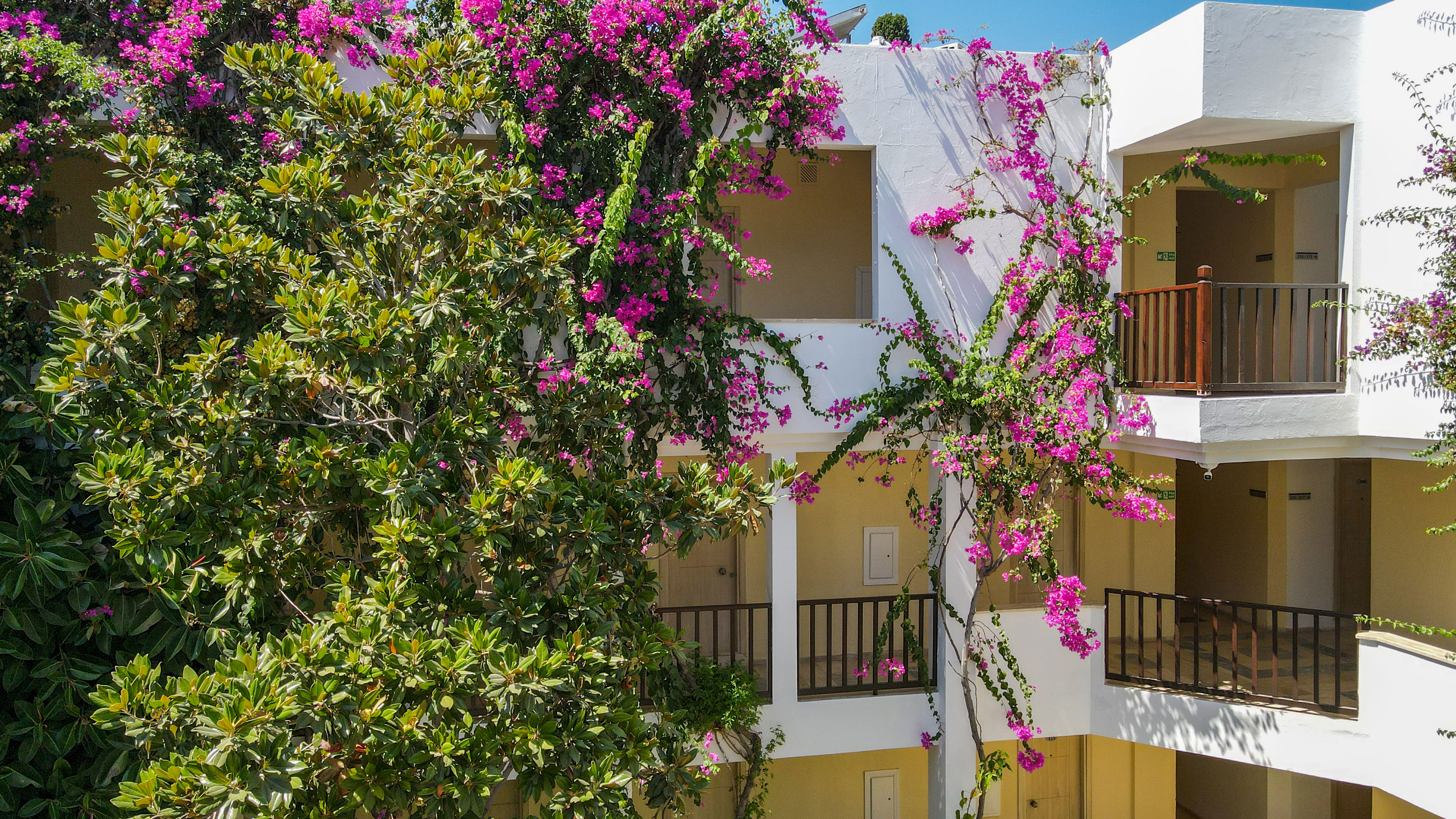 Natur Garden Hotel