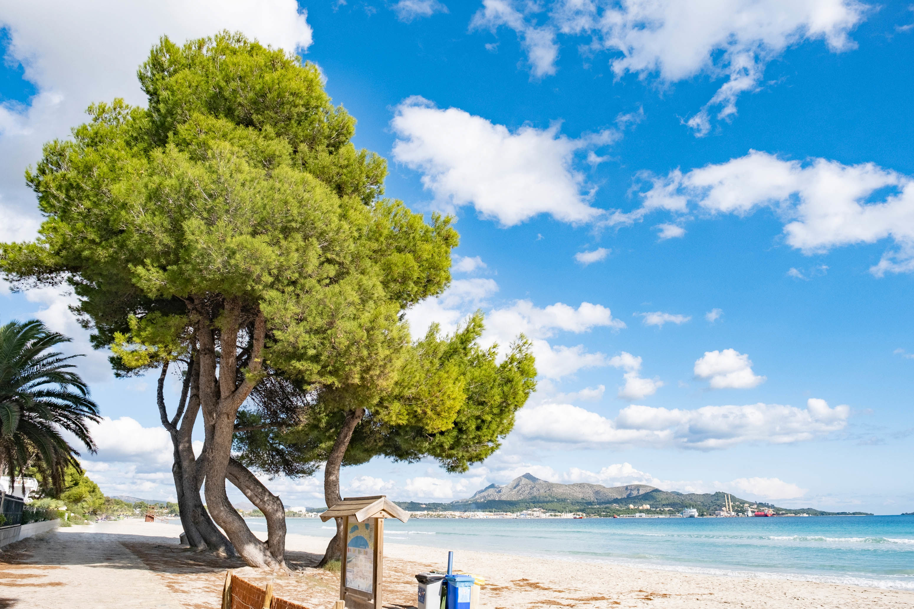 Eix Platja Daurada