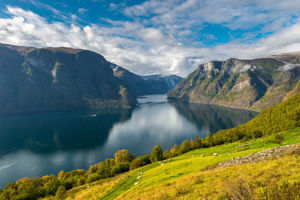Cruise Noorse Fjorden & Steden