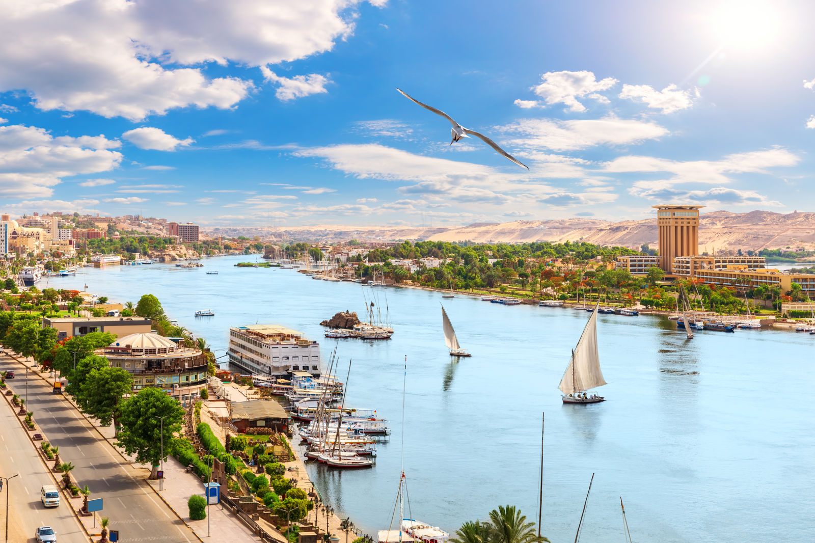Nijlcruise 5* & SUNRISE Aqua Joy Resort 4*