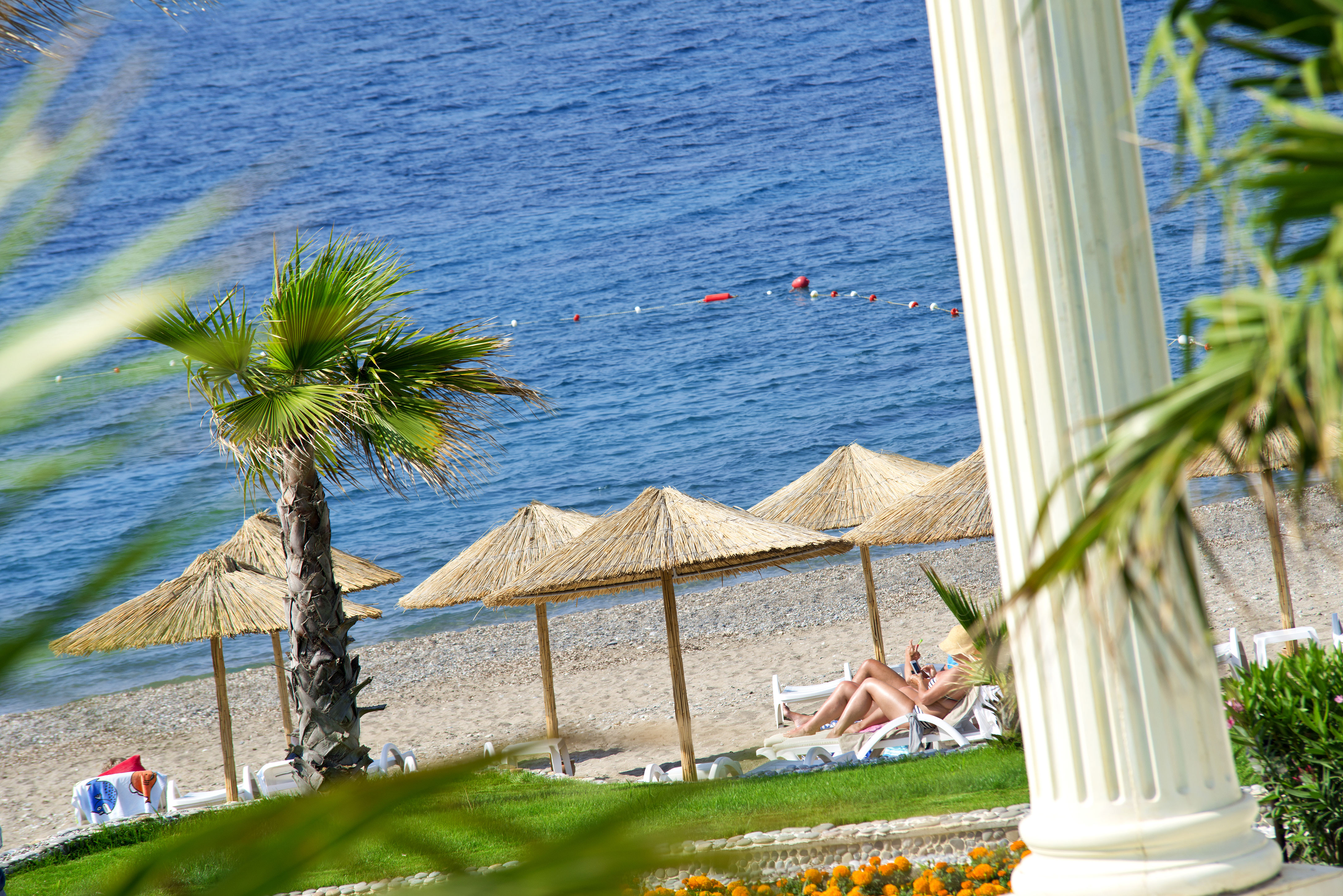 flora-garden-beach