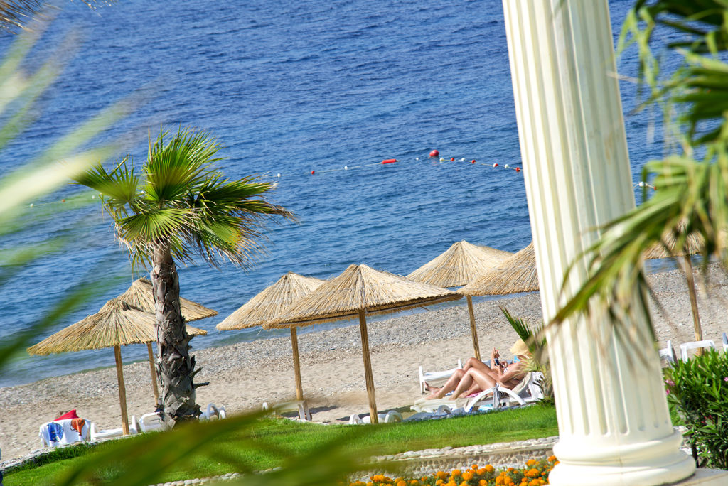 flora-garden-beach