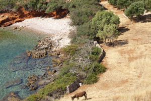 Fly & Go Cretan Village