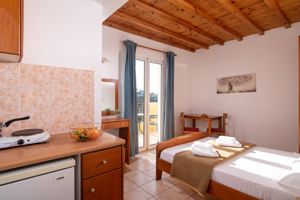 Fly & Go Golden Valentin