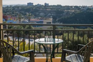 Fly & Go Golden Valentin