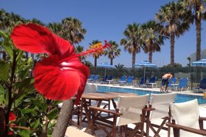 Fly & Go Black Diamond