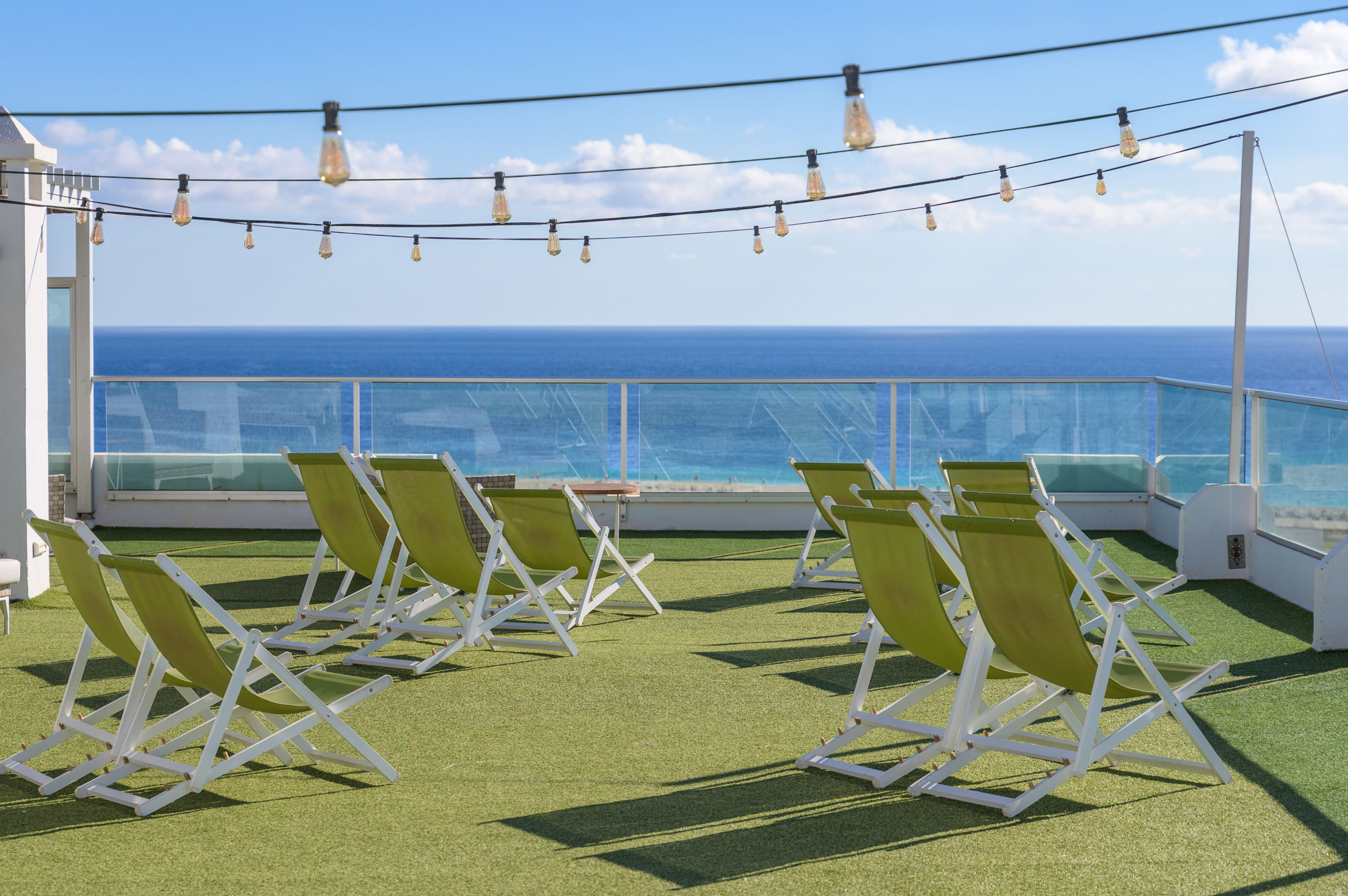 fly-go-fergus-cactus-garden