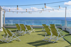 Fly & Go Fergus Cactus Garden