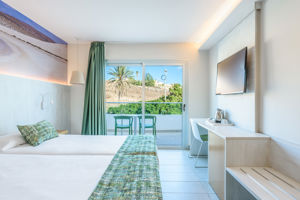 Fly & Go Fergus Cactus Garden