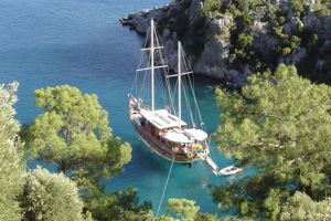 Blue Cruise & Gold City