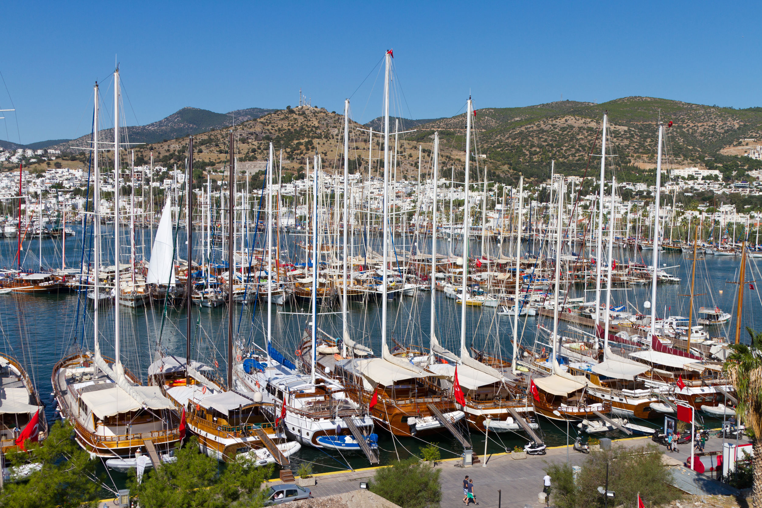 Blue Cruise & Villa Sunflower
