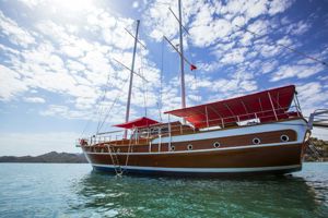 Blue Cruise & Grand Viking