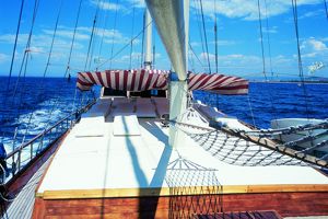 Blue Cruise & Turquoise Hotel