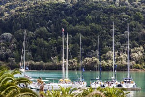 Fly & Go Armonia Hotel