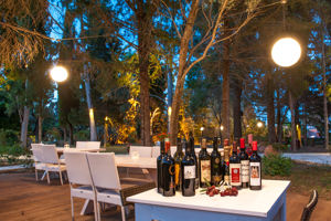 Fly & Go Belvedere Luxury Suites