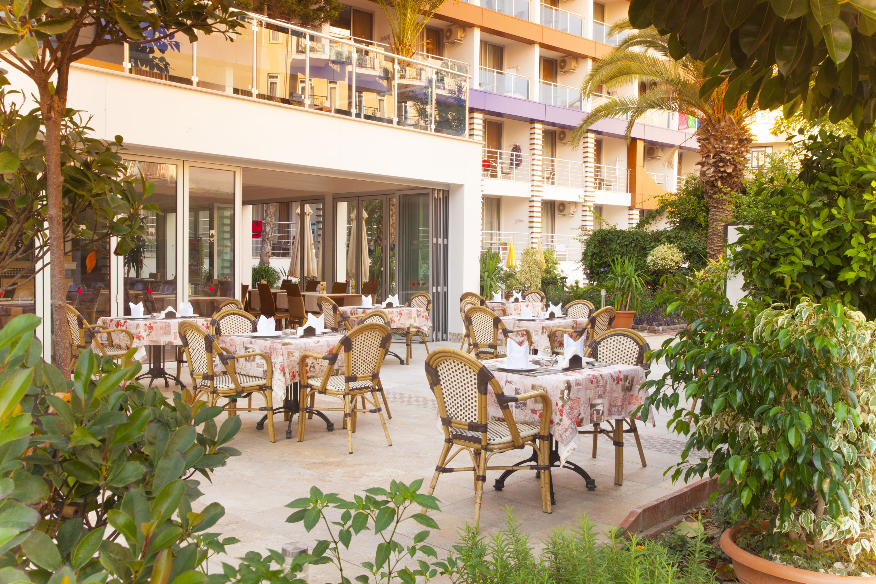 Fly & Go Gardenia Hotel