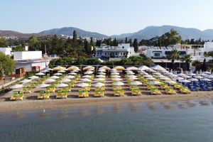 Fly & Go Regal Hotel Bitez