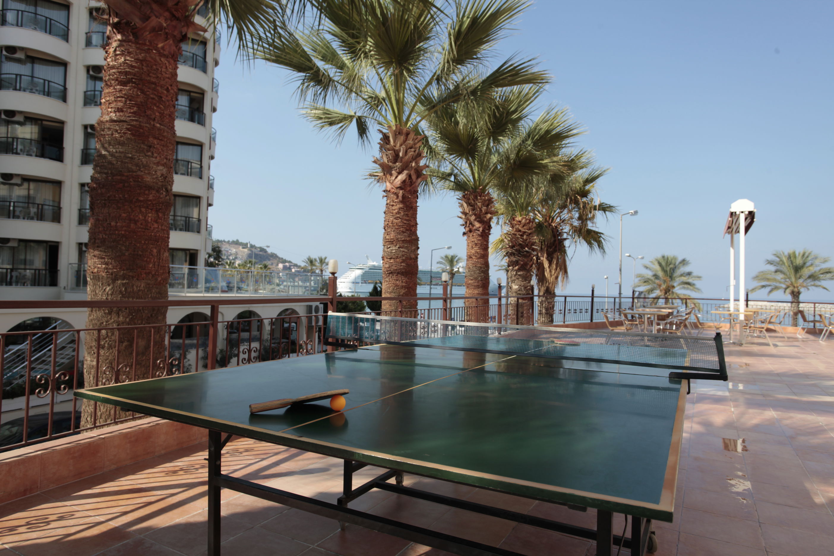 Fly & Go Palm Hotel