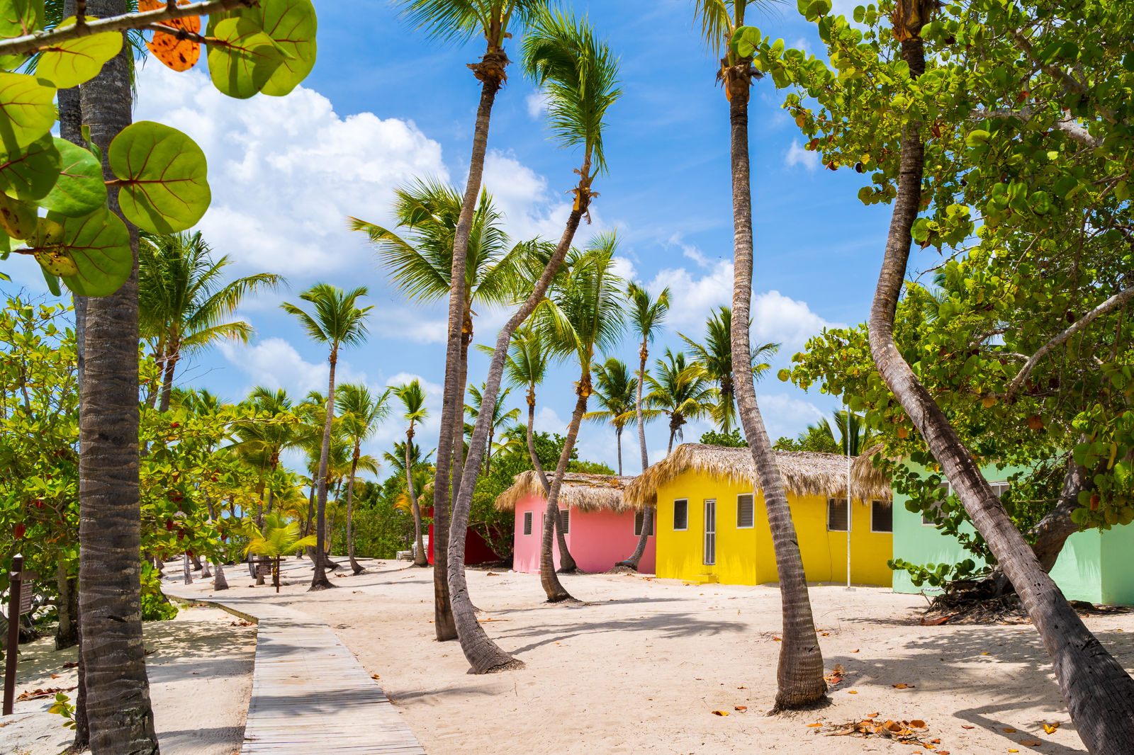 Cruise Caribbean: Curaçao, Aruba en Dominicaanse Republiek