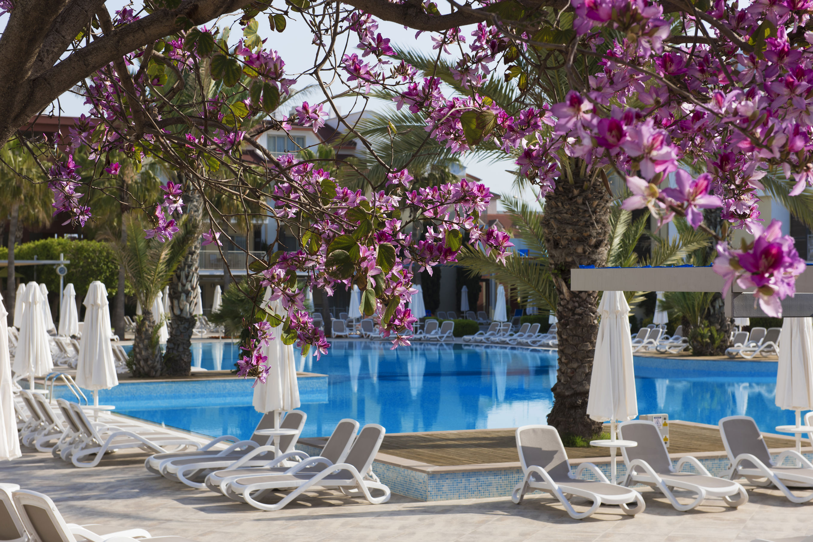 Fly & Go Barut B Suites