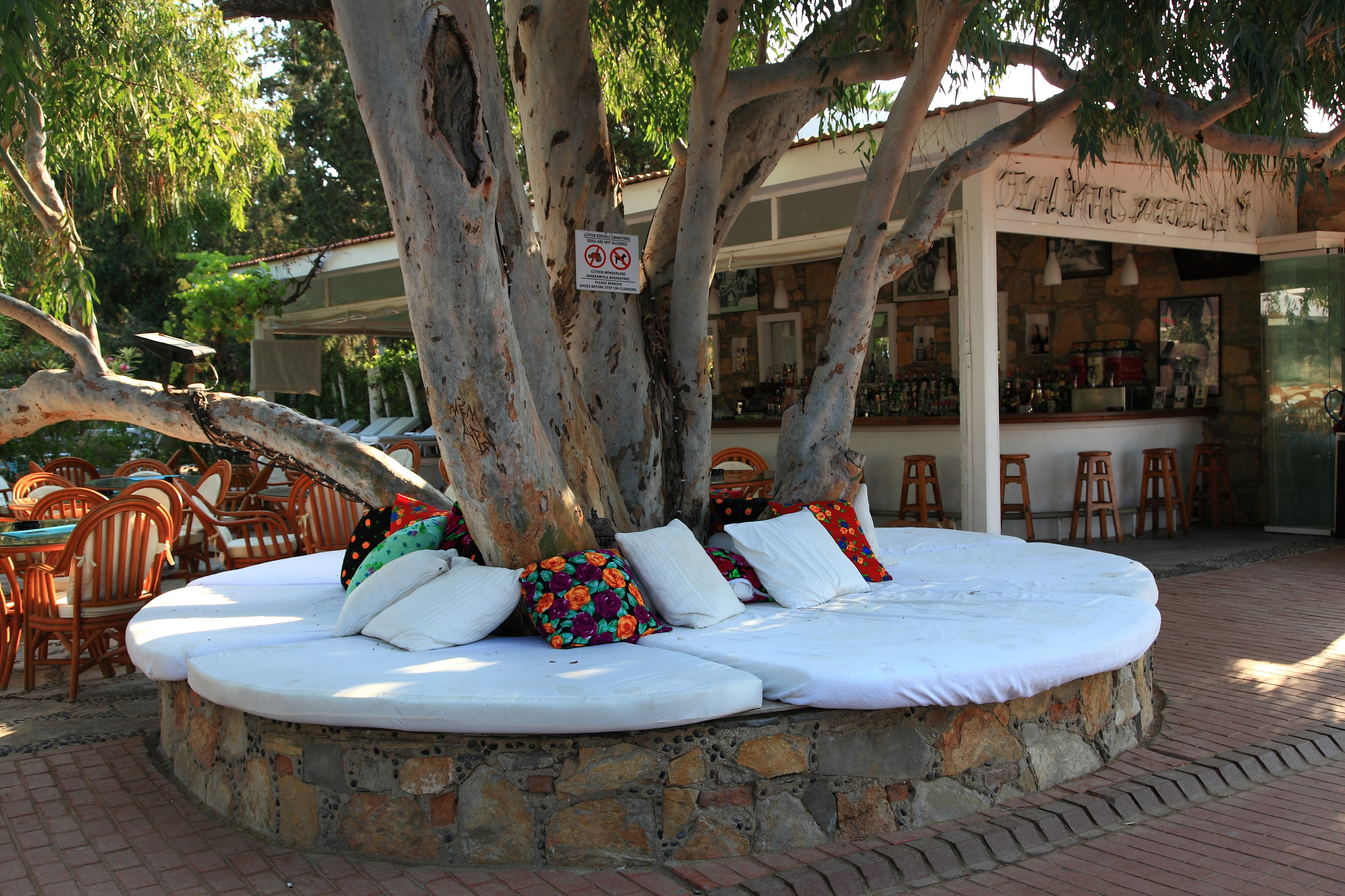 Fly & Go Okaliptus Hotel