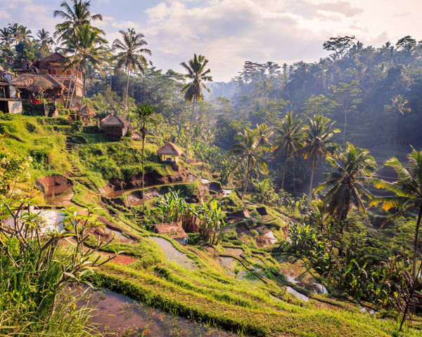 Winterzon 2025 / 2026: vakantie naar de zon in de wintermaanden | Corendon