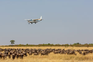 Azao Resort & Spa & optionele Mikumi Safari