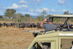 Kiwengwa Beach Resort & optionele Mikumi Safari