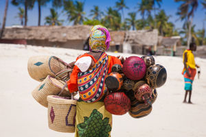 Filao Beach Zanzibar & optionele Mikumi Safari