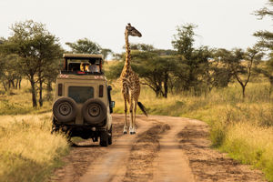 Kiwengwa Beach Resort & Safari Selous