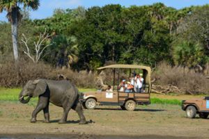 Tiki Beach Club & Resort & Safari Tanzanie