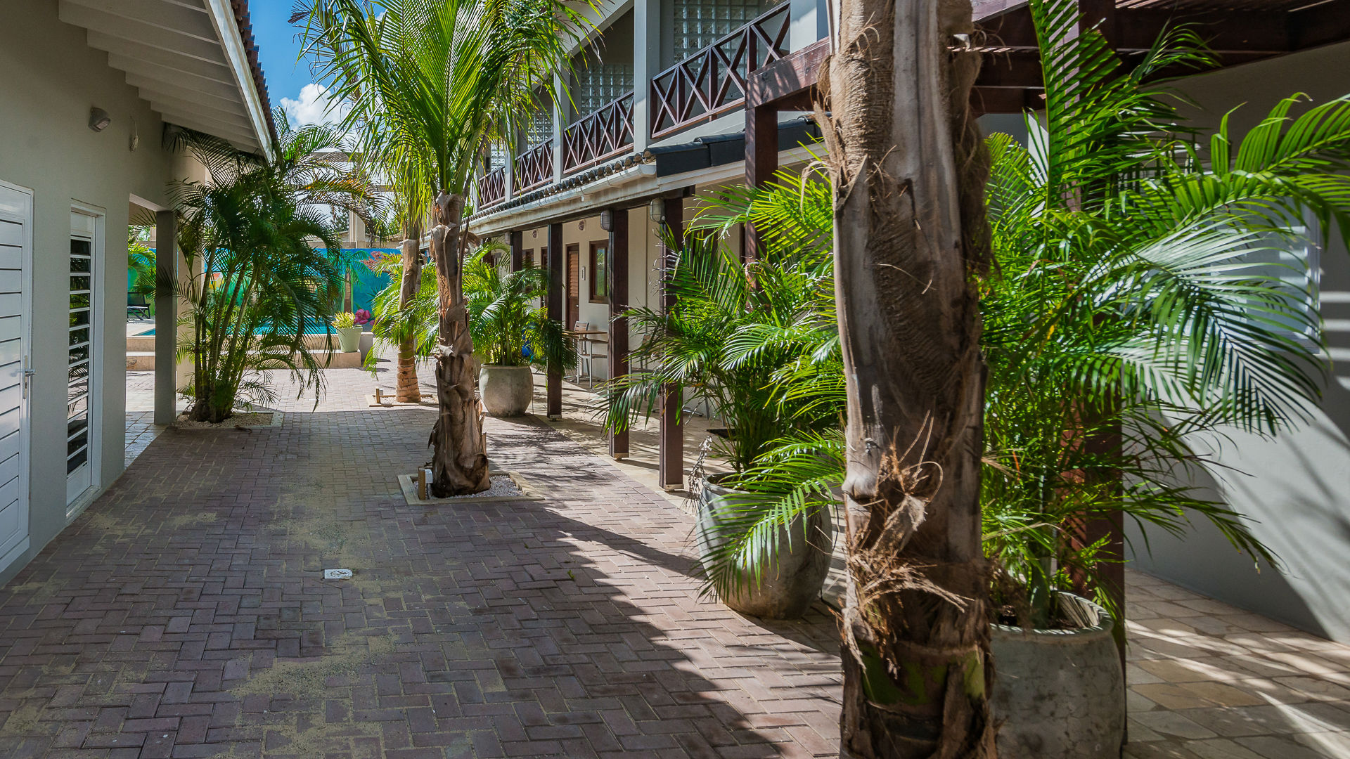 Fly & Go Casita Palma Boutique Resort