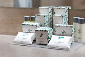 Woonvoorbeeld 2-persoonskamer Superior