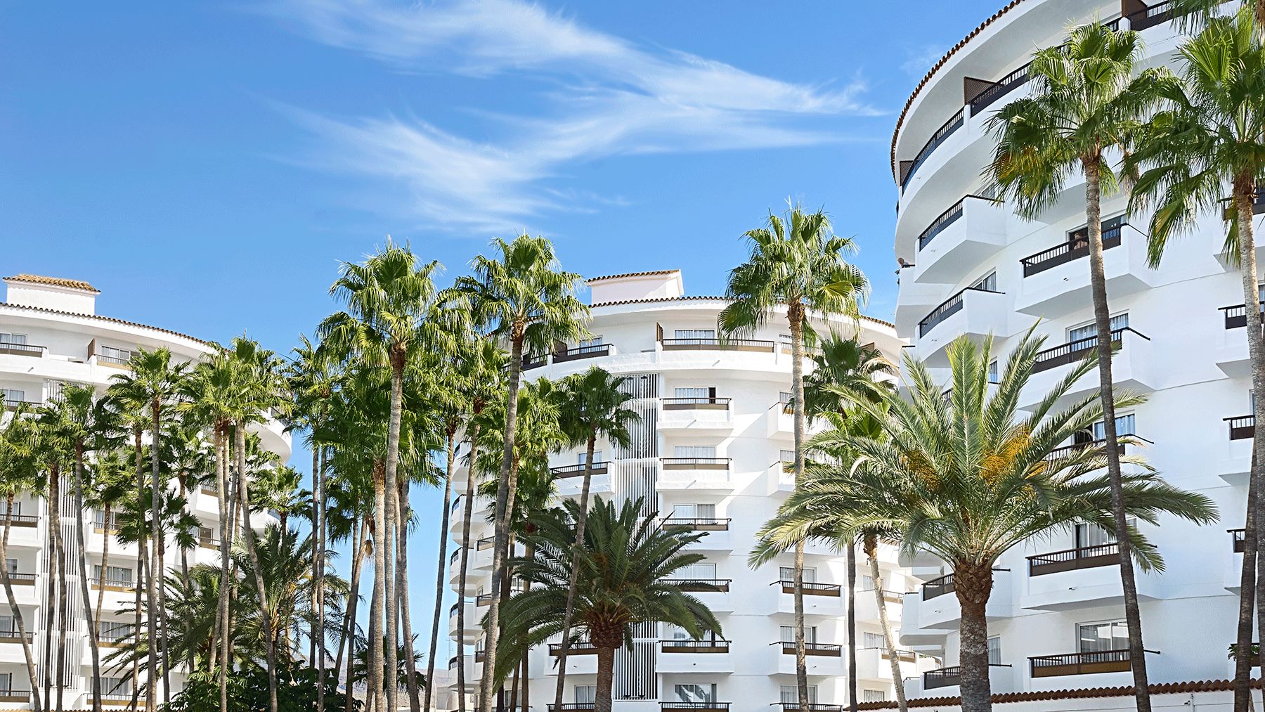 fly-go-servatur-waikiki