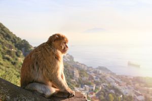 Cruise van Italië naar Rio de Janeiro 