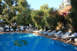 Excursiereis & Okaliptus Hotel