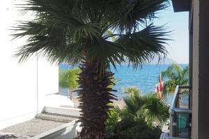 Excursiereis & Yunus Hotel