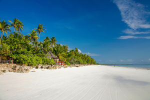 Startpakket Zanzibar