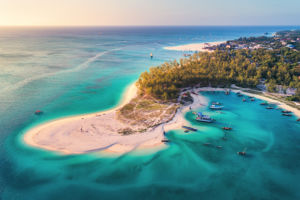 Starter Pack Zanzibar