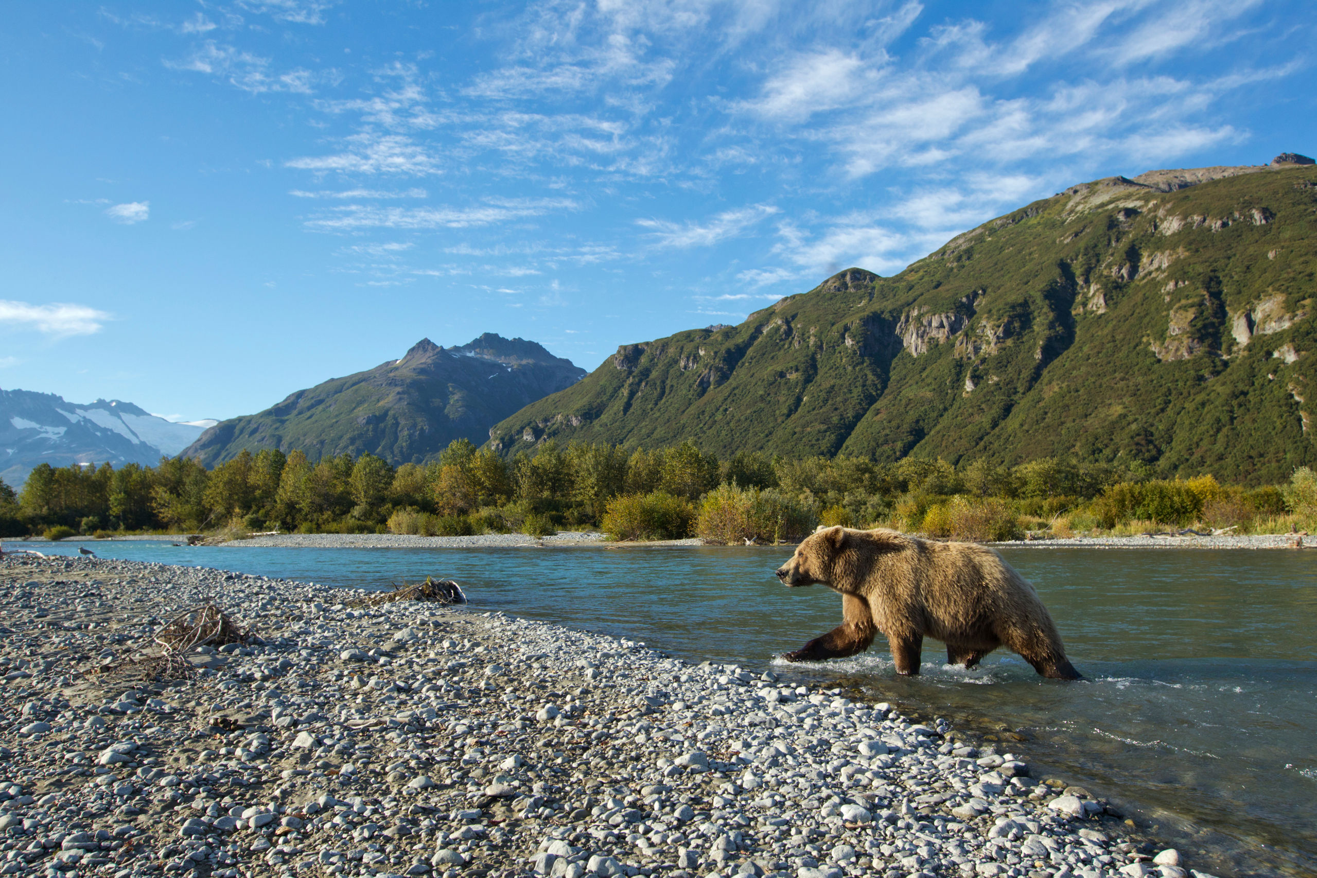 14-daagse Ontdekkingscruise Alaska