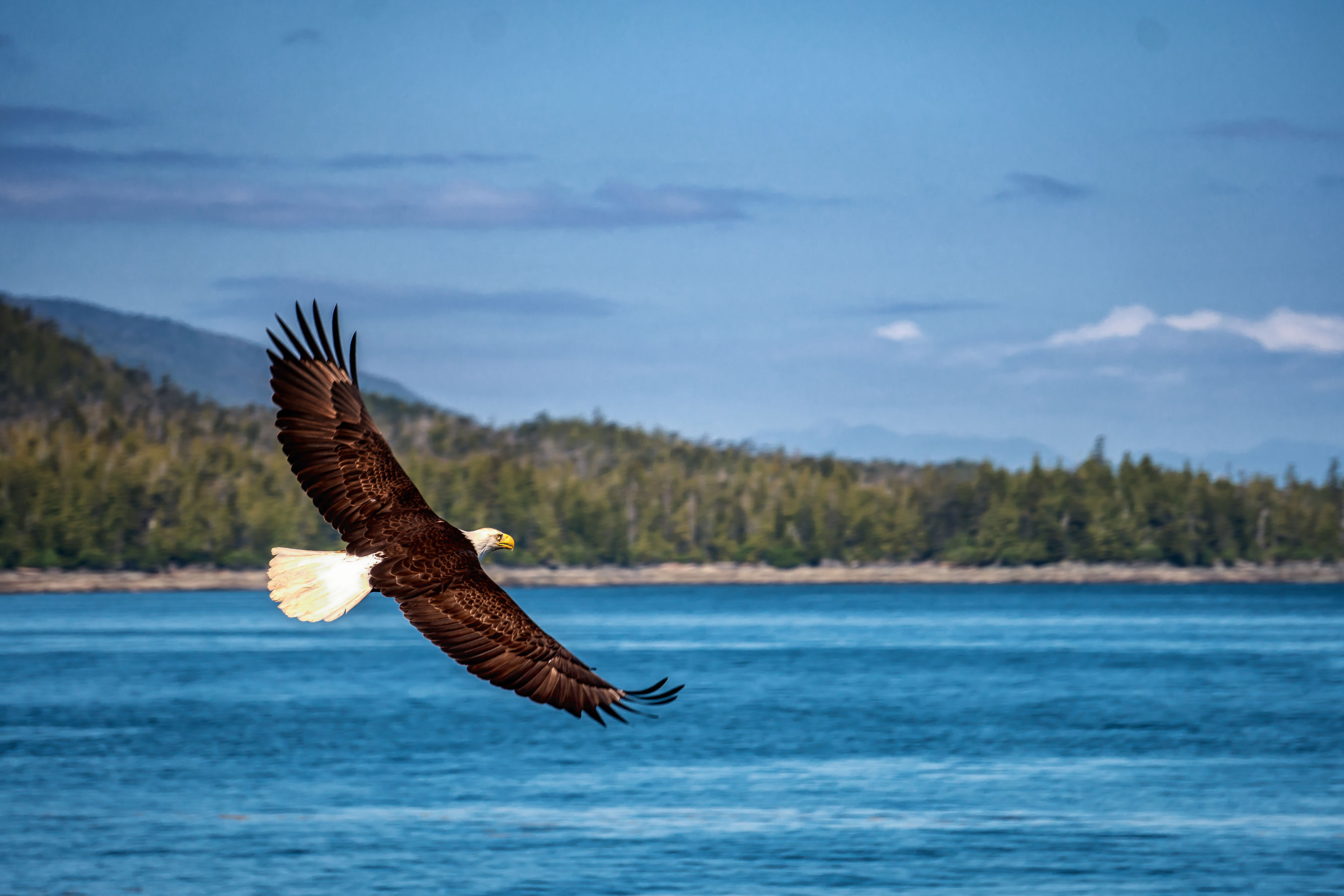 14-daagse Ontdekkingscruise Alaska