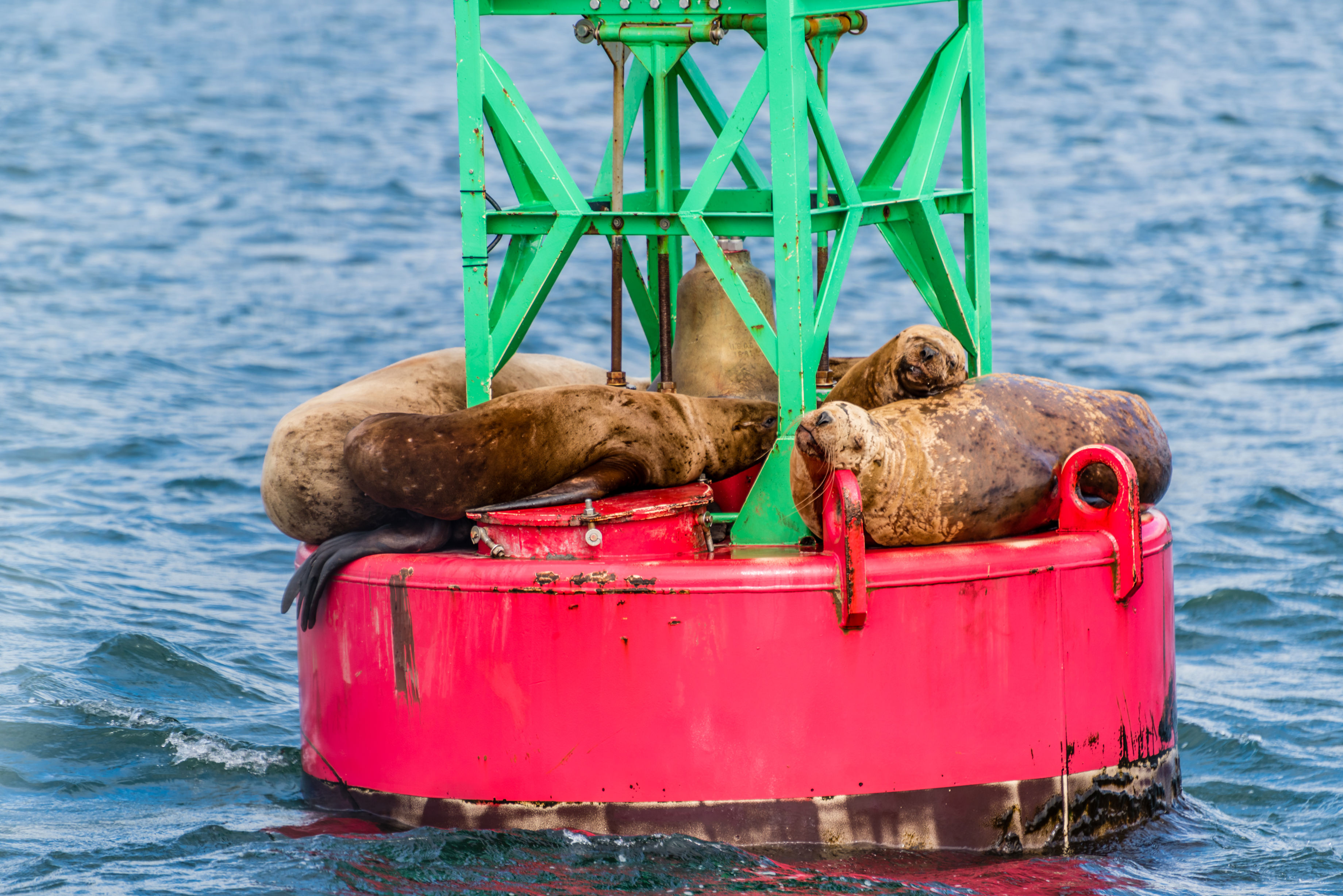 14-daagse Ontdekkingscruise Alaska