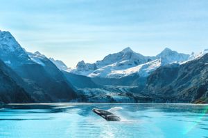 10-daagse Ontdekkingscruise Alaska