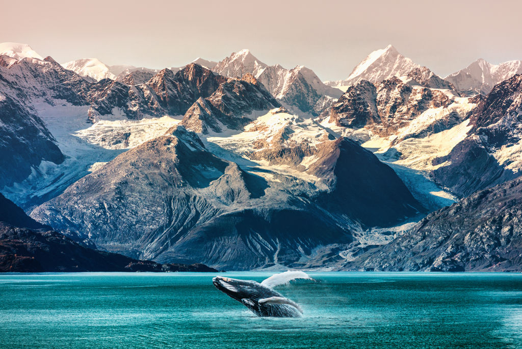 cruise-wonderen-van-alaska