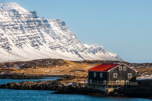 Cruise naar IJsland