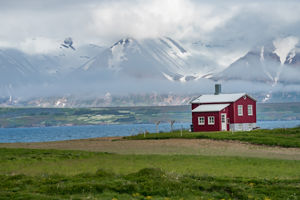 Cruise naar IJsland